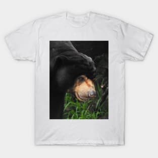 Sun Bear T-Shirt